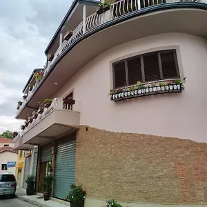 Lille France Shkoder